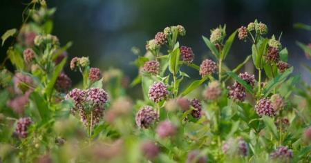 8c0cdbefab4b38c03b8a572439b4cc28_08.06.25-1