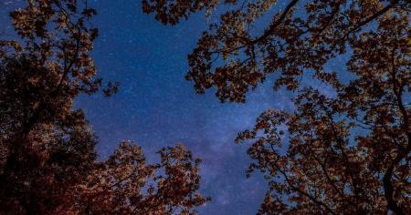 Україну накриє похолодання з дощами: коли і де зміниться погода 5 жовтня