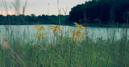 Погода на 24 липня: де в Україні розігріє до +34 градусів