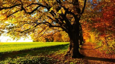 8dcbb1a84ac3dfa3872f5a427862445d-original_06.09.25_1