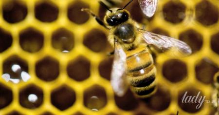 Гороскоп на 5 серпня для всіх знаків зодіаку: день, коли важливо провести роботу над помилками