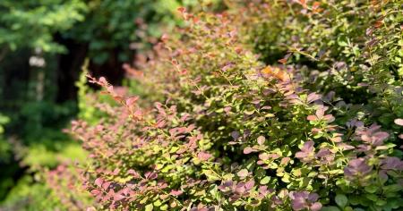 8ff21b3c83501aa4cc6c65c974b39c6f_25.08.25