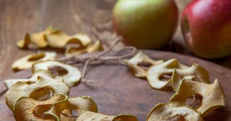 900f1a8827102c5293b293832369944e_16.08.25