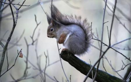 90d45ecadd439fd6fdfb7a5d507447ee_18.01.25_18.01.25