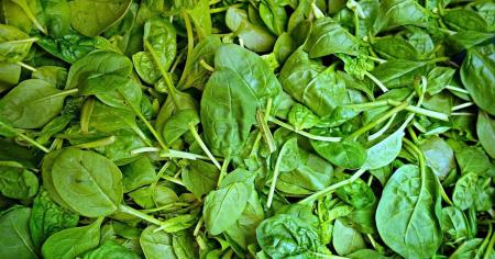 9103520a3945d1859c8fc28c60ef519b_10.09.25