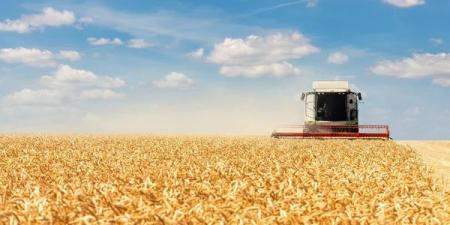 92ebca2808c4bd9bc71533faf3b50f66_30.05.25_1