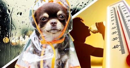 930c4453e161fb75328ad66b7fef708d_12.08.25