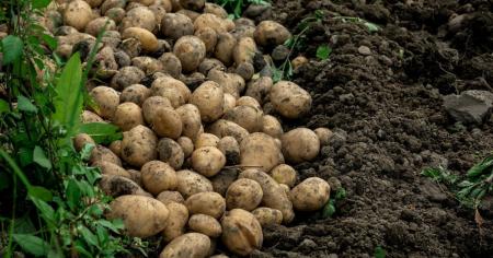 974dde8d062b6d8225a697a36b7bc11a_04.08.25