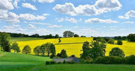 Прогноз погоди на 7 вересня: де очікуються грозові дощі