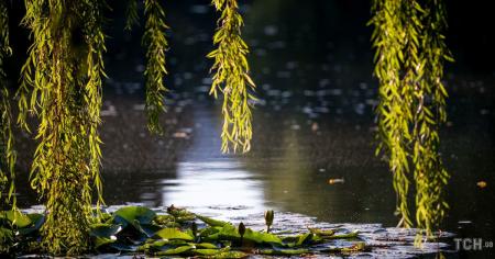 Гороскоп на 17–18 серпня для всіх знаків зодіаку: день, коли потрібно побути на самоті