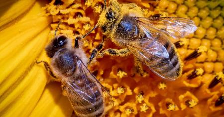 9a67be3fc3c2d11d5836146ea35d9115_14.08.25