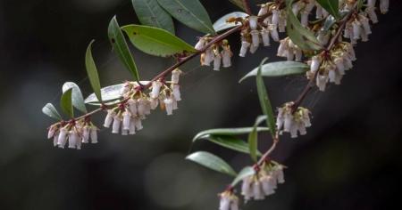 Гороскоп на 30 травня для всіх знаків зодіаку: день, коли ми будемо незадоволені собою