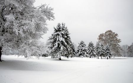 Негода триватиме: прогноз погоди в Україні на 12 січня