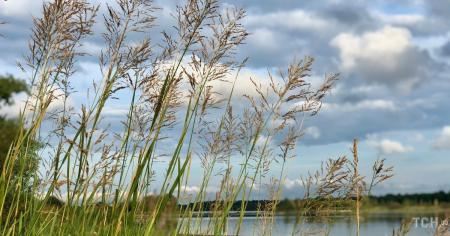 Гороскоп на 7 вересня для всіх знаків зодіаку: день, не варто йти на поводі у своїх інстинктів.