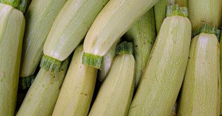 9b665beb9f803b8ce3542fe600aafb1b_31.08.25