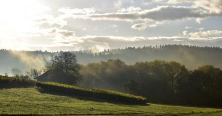 Україну накриє циклон: як зміниться погода 22 серпня