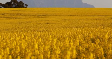Гороскоп на 23 серпня для всіх знаків зодіаку: день, коли збудуться найсміливіші мрії