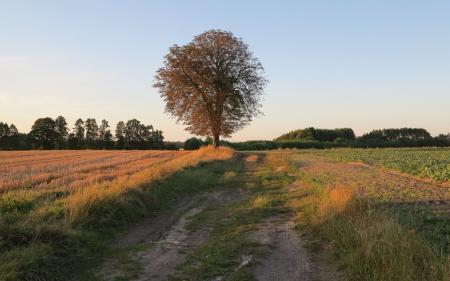 Літо почнеться спекою
