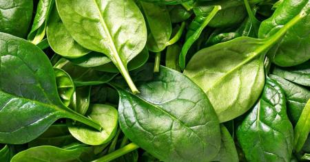 9f50f75ca5f8131f47bd569f4bc9ecb3_29.07.25