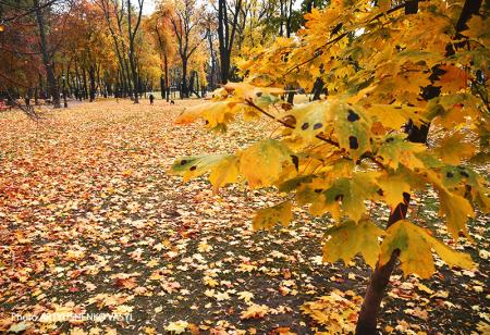 У понеділок Україні прогнозують від 1° морозу до 19° тепла