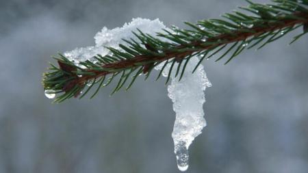 Прогноз погоди на вихідні 13–14 січня: морози відступають