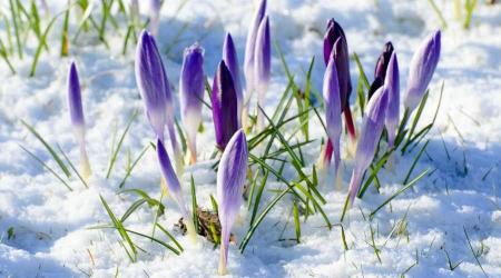 Прогноз погоди на 1 березня: яким в Україні буде перший день весни