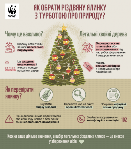 WWF-christmas_tree_05.11.24