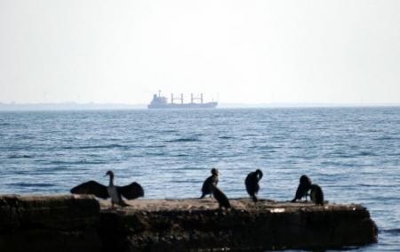 Понад 10 країн Європи домовилися посилити боротьбу з 