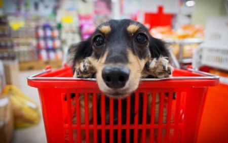 _v_koshiku_magazin_krup_alan_gettyimages_150017037_10ceef91ff986ca91e23d968b6475336_650x410_25.06.25