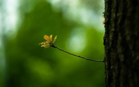 Погода у березні: синоптики ошелешили неочікуваним прогнозом