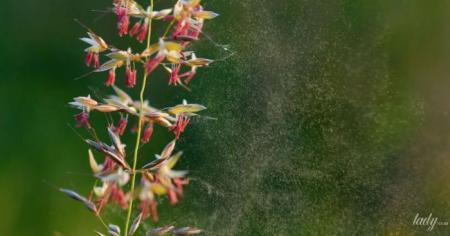 Гороскоп на 5 травня для всіх знаків зодіаку: день, коли потрібно виявляти підвищену обережність