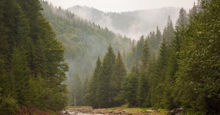 Погода на 4 серпня: спека на сході та короткочасні дощі на заході