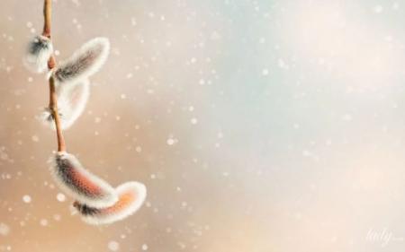 a7677c8e0760d881581ce3621d4d74b0_05.03.25_1