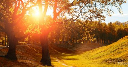 Гороскоп на 15–16 вересня для всіх знаків зодіаку: дні, коли енергії вистачить на все