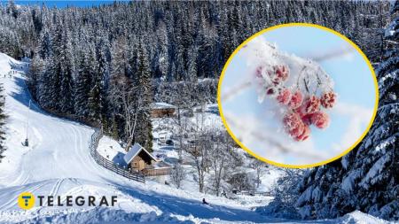 a803992e-fcf48d282789ef8ee753042133580761_30.11.24_1