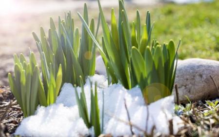 a9e531abfae40c285f0e236240218b5f_27.02.25_1