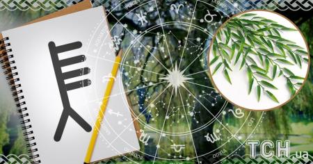 Кельтський гороскоп дерев на 7 серпня 2025 року: Ракам — емоційне оновлення, Терезам — ясність вибору