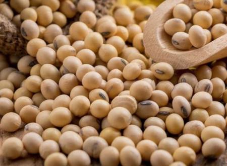 Україна може втратити прогрес вступу до ЄС через проблемні мита на сою та ріпак – ЗМІ