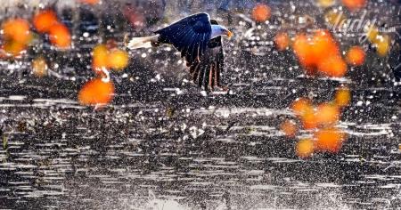 Гороскоп на 19 вересня для всіх знаків зодіаку: день, коли таємне стане явним