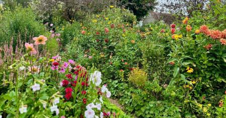 Гороскоп на 30 липня для всіх знаків зодіаку: день, коли нікому не можна відмовляти в допомозі