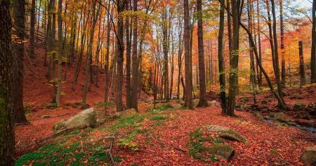 b077c84cec173e6b3364e77ca3ca7397_26.09.25