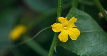 Гороскоп на 1 червня для всіх знаків зодіаку: день, коли потрібно відмовитися від фізичної активності