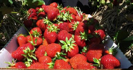 b420cd13d17c8423a4bab8f3db93afc2_19.07.25