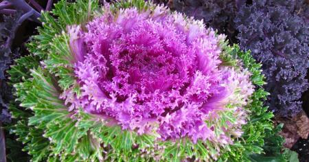 Гороскоп на 29 травня для всіх знаків зодіаку: день, коли нікому не можна дозволяти збити себе з позитивної хвилі