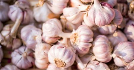 b574a2cd5ca2725c6d978f6877b2dbd3_05.09.25