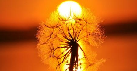 Вчені знайшли причину рекордного нагрівання атмосфери Сонця