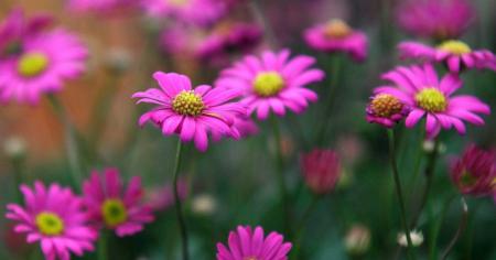 b8039b89962917d3aef31c18a65fc65e_21.07.25