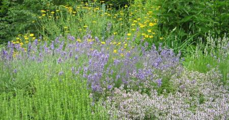 b976e9590012abde5f9e81fddc3a32dc_25.07.25