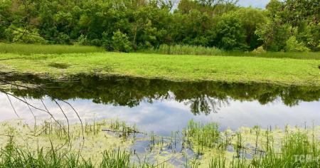 ba8359672822c710c5cbdef26e02743f_12.07.25