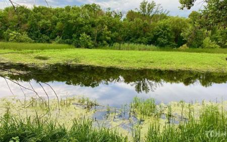 Гороскоп на 22 липня для всіх знаків зодіаку: день, коли потрібно шукати гарне у всьому